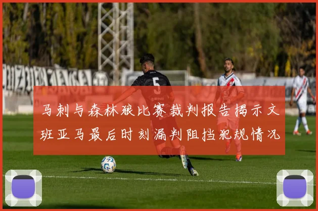 马刺与森林狼比赛裁判报告揭示文班亚马最后时刻漏判阻挡犯规情况