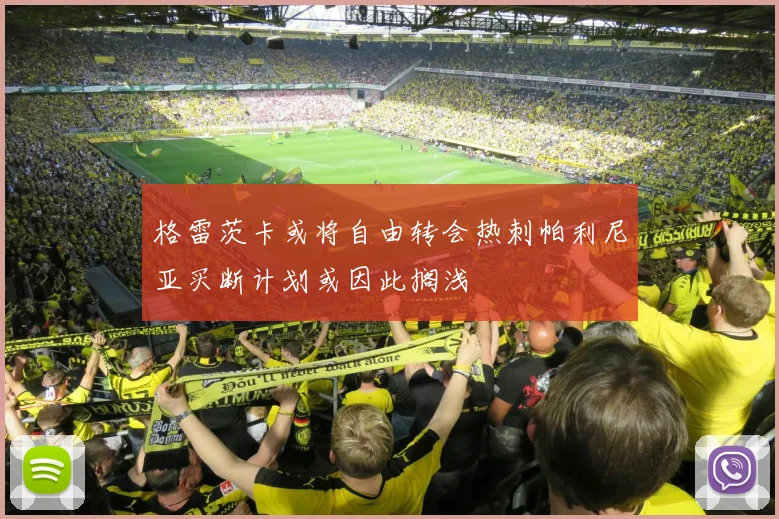 格雷茨卡或将自由转会热刺帕利尼亚买断计划或因此搁浅