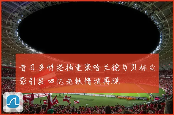 昔日多特搭档重聚哈兰德与贝林合影引发回忆老铁情谊再现